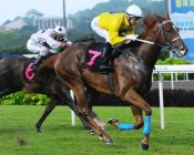 Huka Falls (Joao Moreira) lands his seventh win from eight starts on Sunday.<br>Photo by Singapore Turf Club